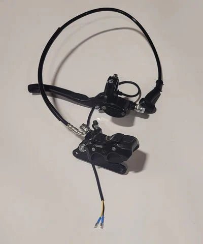 G2000 - Rear Brake Assembly