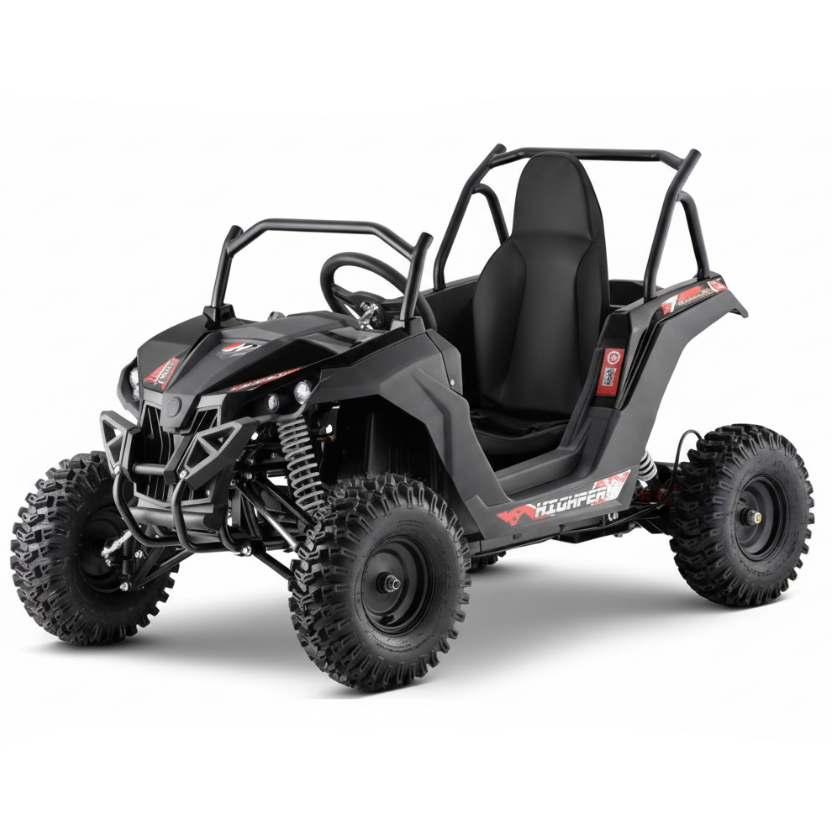 RENEGADE BUGGY