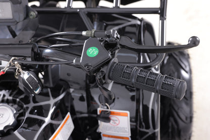 GIO BLAZER 125D