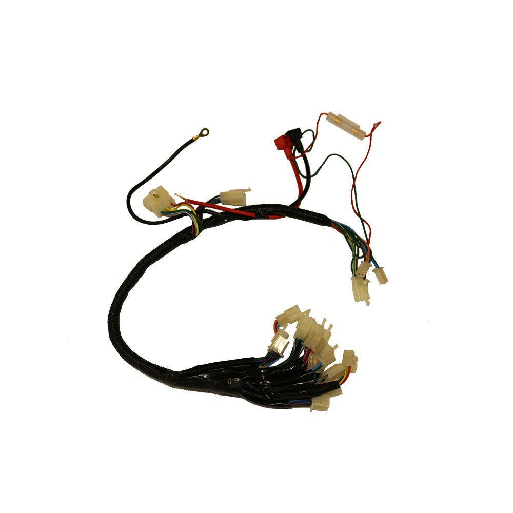 Mini-Blazer Wire Harness