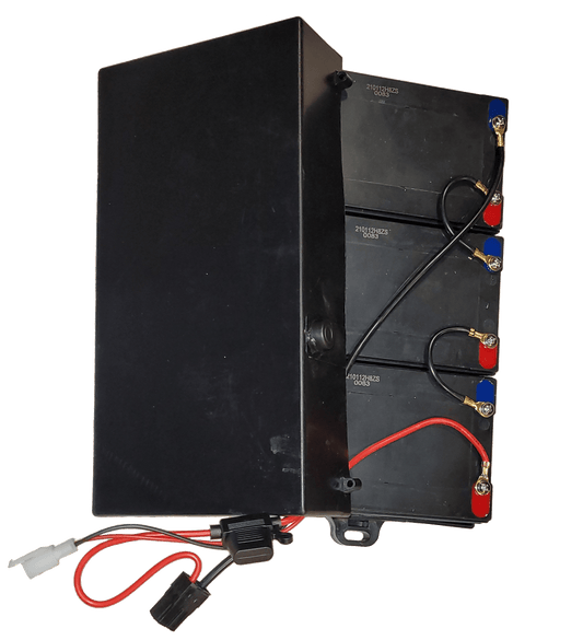 36v Battery Pack (inside protective case)