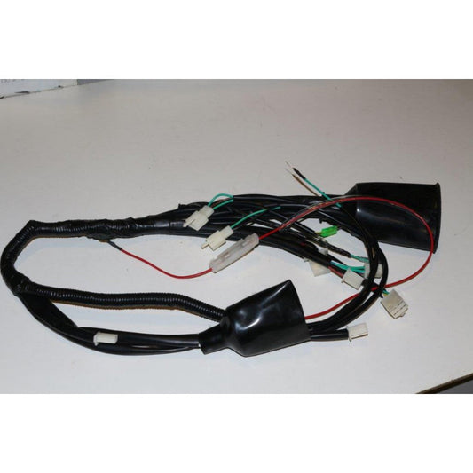 Blazer 150 Wire Harness