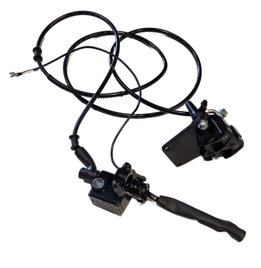 Crown Rear disc brake assembly