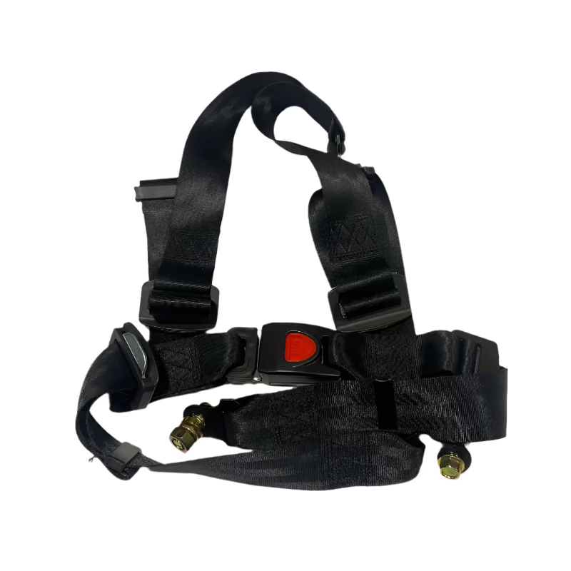 GT125 2024 Seat Belt