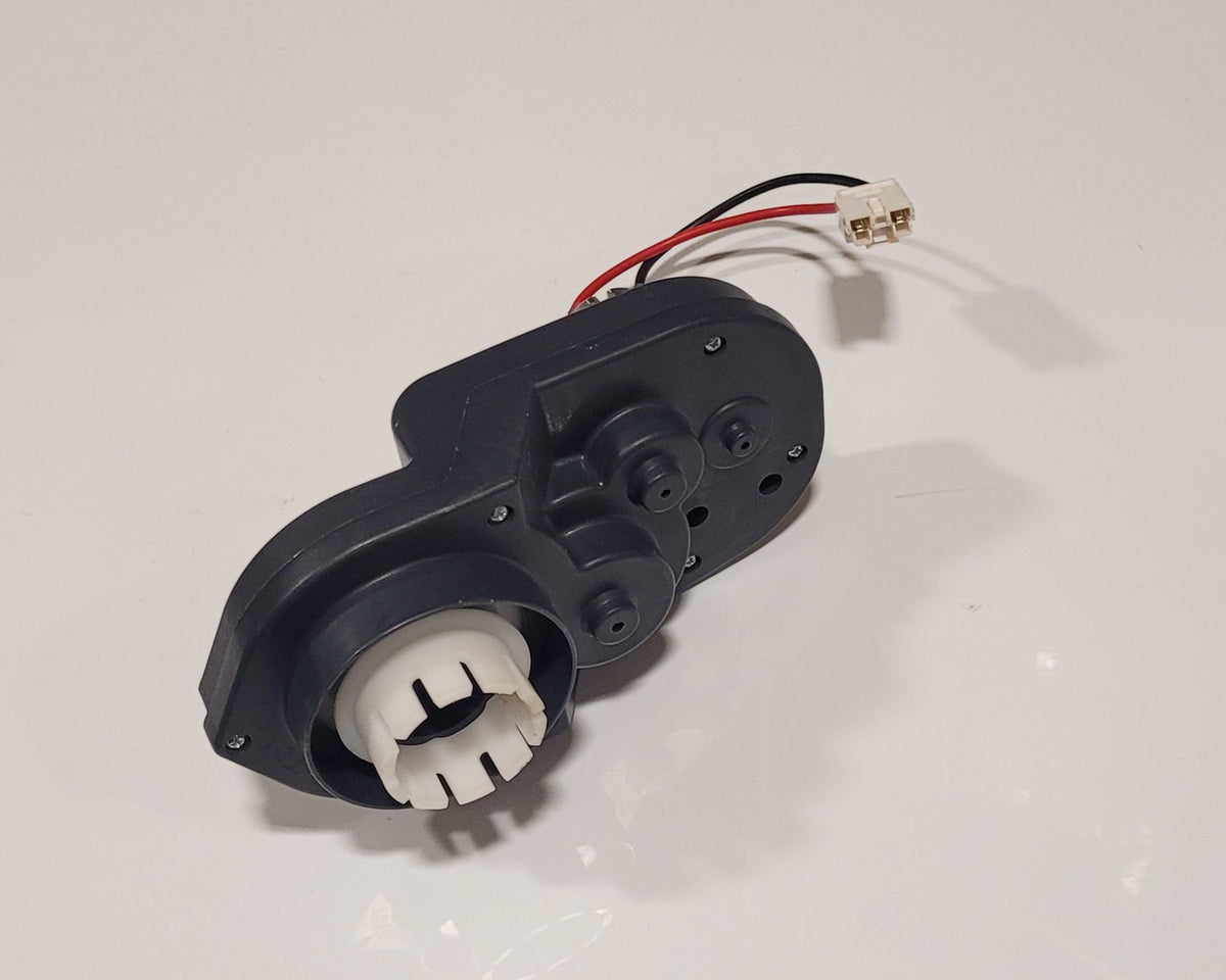 Motor Left Side