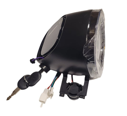 Wasp black instrument